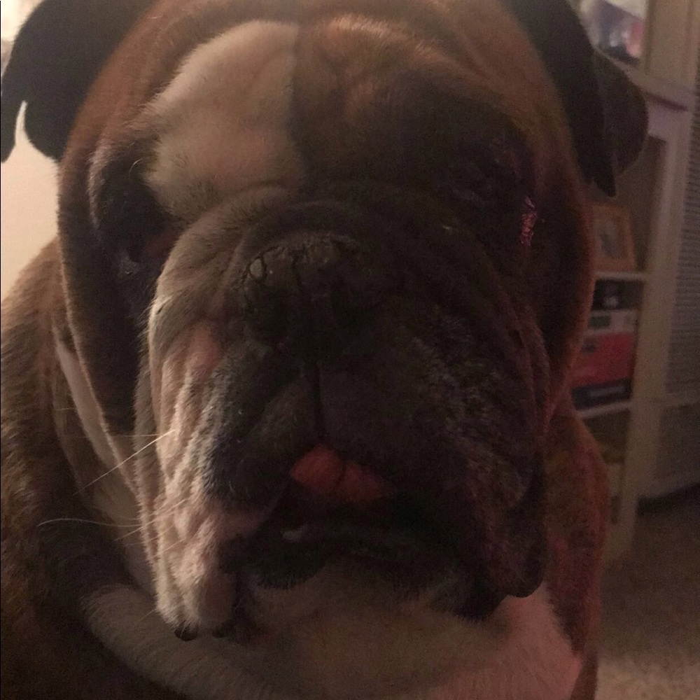 Meet your Posher, Mayra